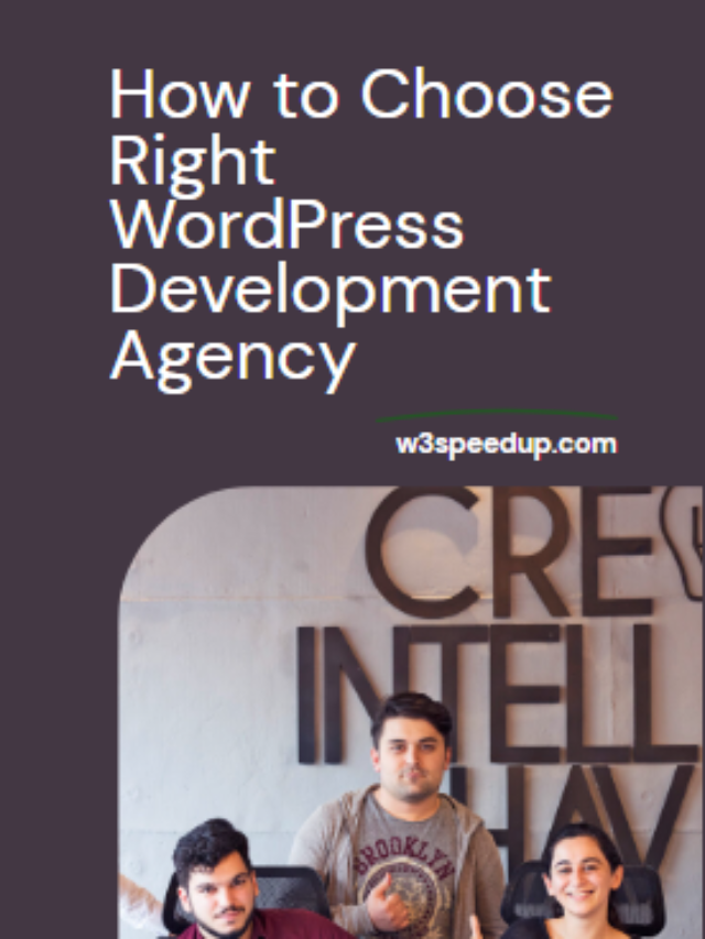 How to Select a WordPress Development Agency