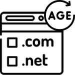 Domain Age Checker