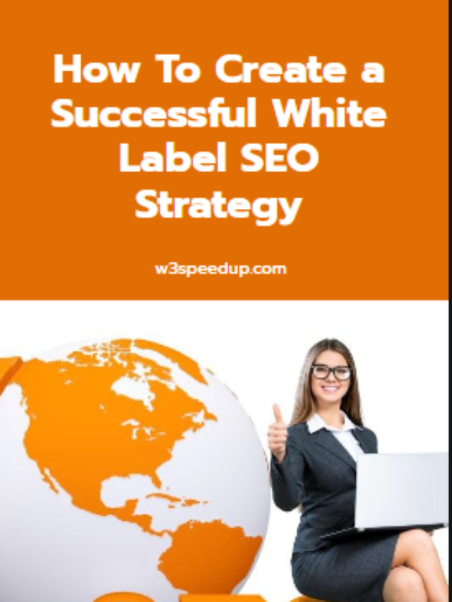 The Ultimate Guide to the White Label SEO