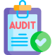 Audit Image